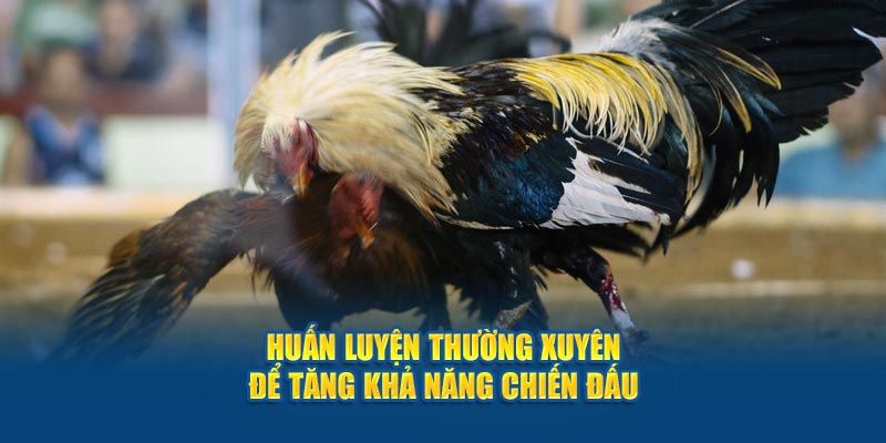 Huấn luyện thường xuyên để tăng khả năng chiến đấu 